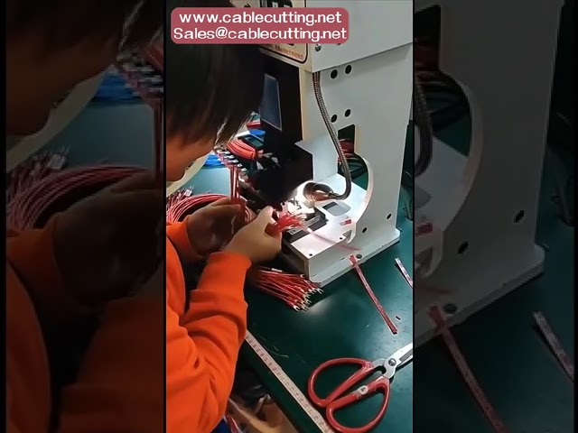 Sampel Gratis Terminal Spade Jantan Berisolasi Biru - Konektor Crimp Kabel